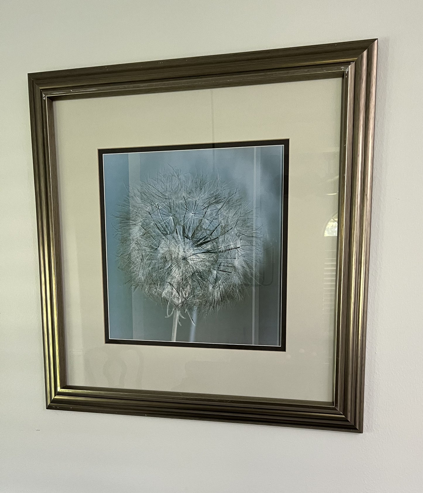 (Set of 2) Dandelion Picture