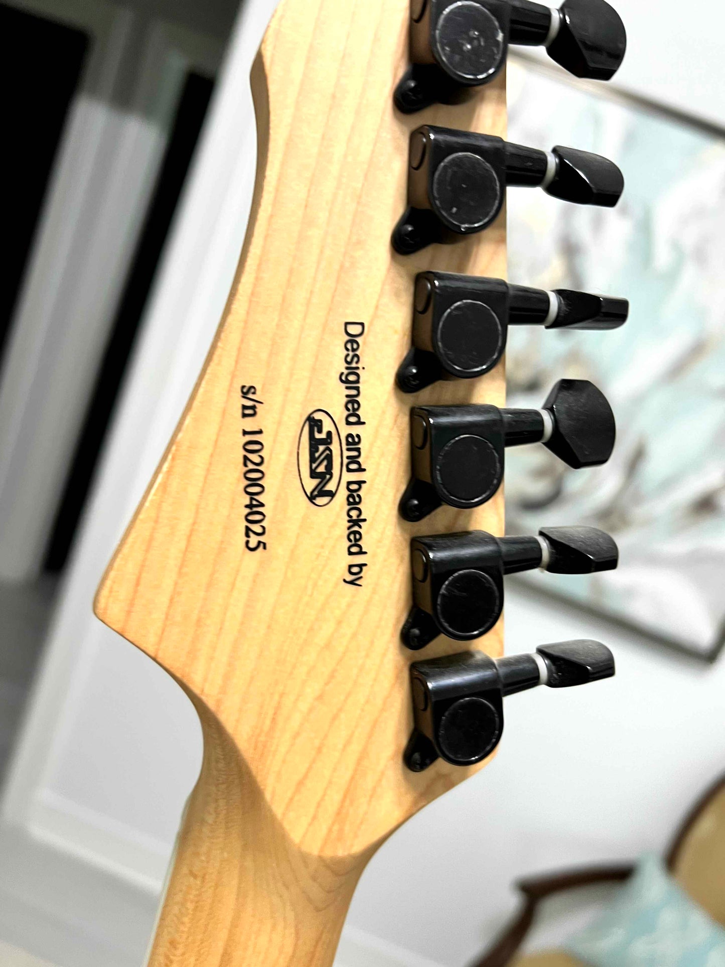 Firefly Pure Series Black Electric Guitar