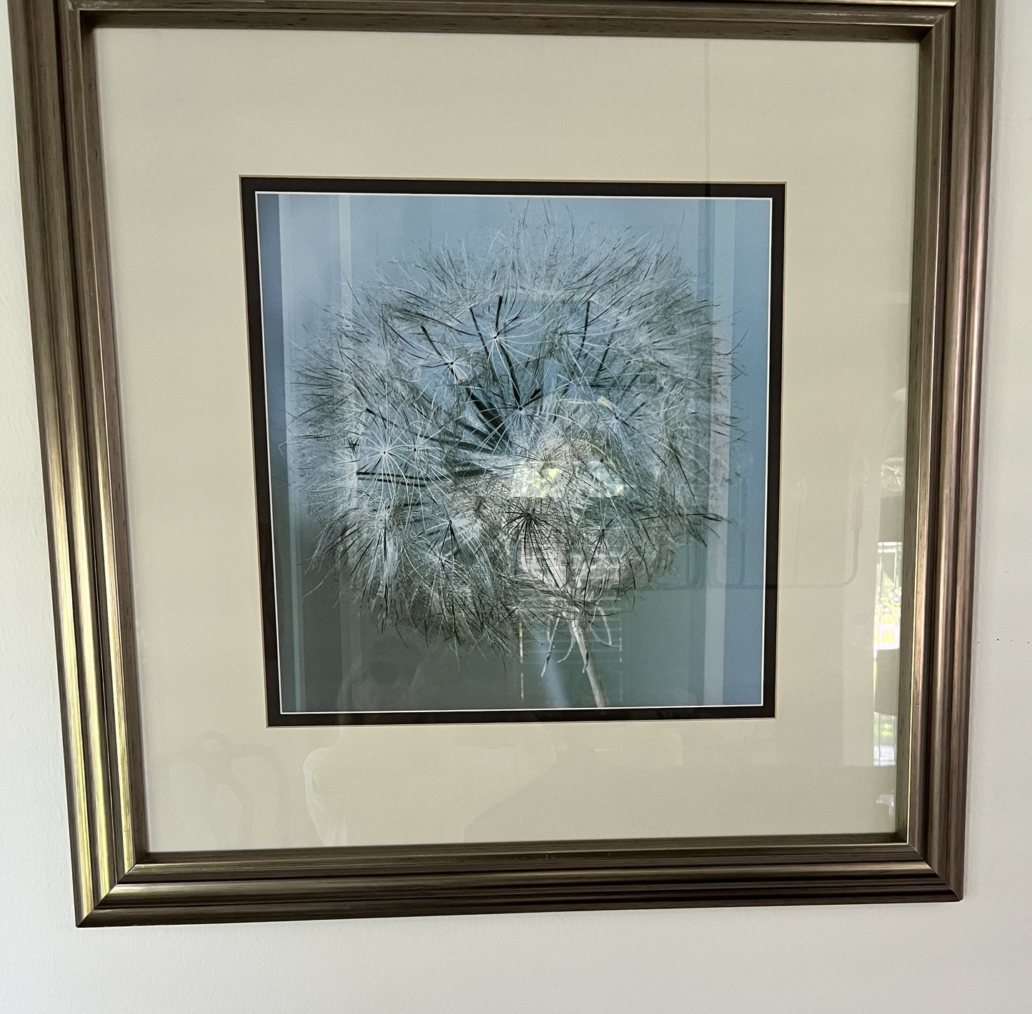 (Set of 2) Dandelion Picture